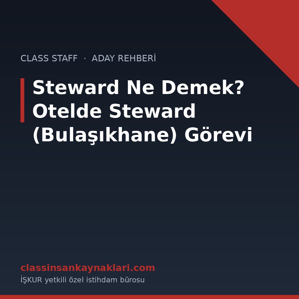 Steward Ne Demek? Otelde Steward (Bulaşıkhane) Görevi